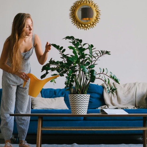 Plant roots & stay awhile a woman watering plants